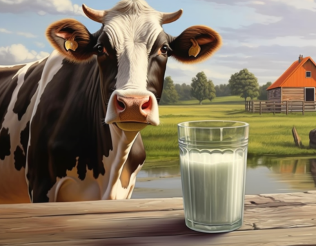 Ի՞նչ է Լակտոզան, ինչպե՞ս է այն օգտագործվում մեր օրգանիզմի կողմից.