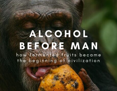 Ալկոհոլը մինչև մարդը. ինչպես խմորված մրգերը դարձան քաղաքակրթության սկիզբ