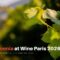Հայաստանը Wine Paris 2026-ում․ հայկական գինին՝ համաշխարհային ուշադրության կենտրոնում